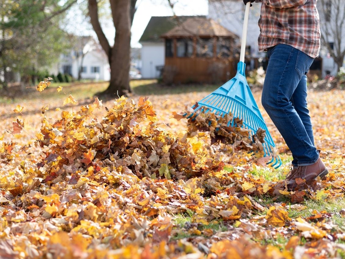 Top Tips for Autumn Yard Maintenance